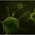 SIRION Biotech Transient Adenovirus Development