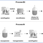 New study shows ecological benefits for enGenes Biotech X-press technology