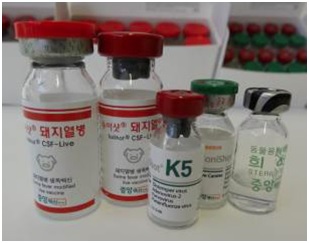 Case Study: Fast tracking NTx TopLoading concept into action in South Korea