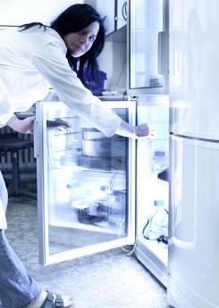 Sofrigam focus on storage and transportation of heat-sensitive insulin