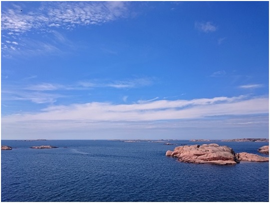 Aurena introduces Natural Seawater in bulk