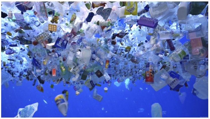 Dividella’s monomaterial packaging solution to the global plastics crisis