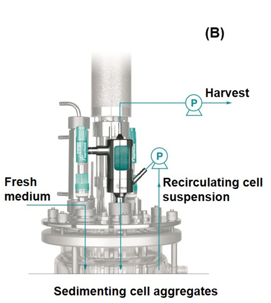 Applikon Biotechnology’s leading role in continuous processing