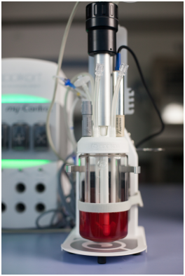 Applikon supports CLEANMEAT project to transform the world’s diet