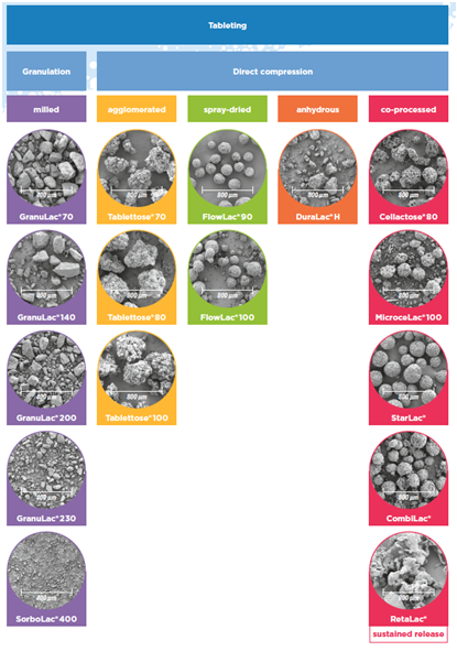 45613MEGGLE co-processed excipients