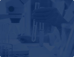 Bachem reports ‘excellent’ first half results for 2021