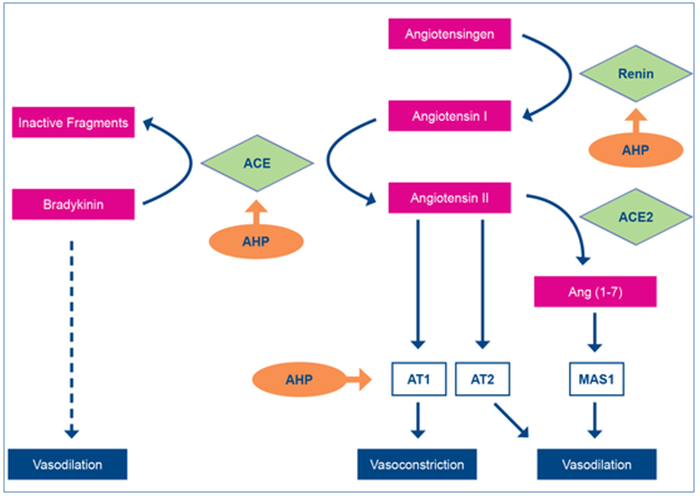 Bachem antihypertensive food-derived peptides