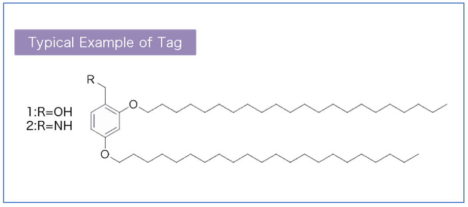 Bachem enters exclusive licensing agreement with Jitsubo for Molecular Hiving™ technology