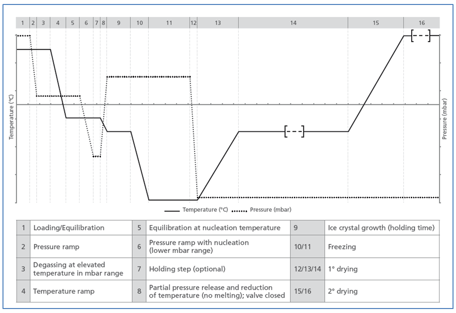 HOF SynchroFreeze – for optimized freeze drying processes