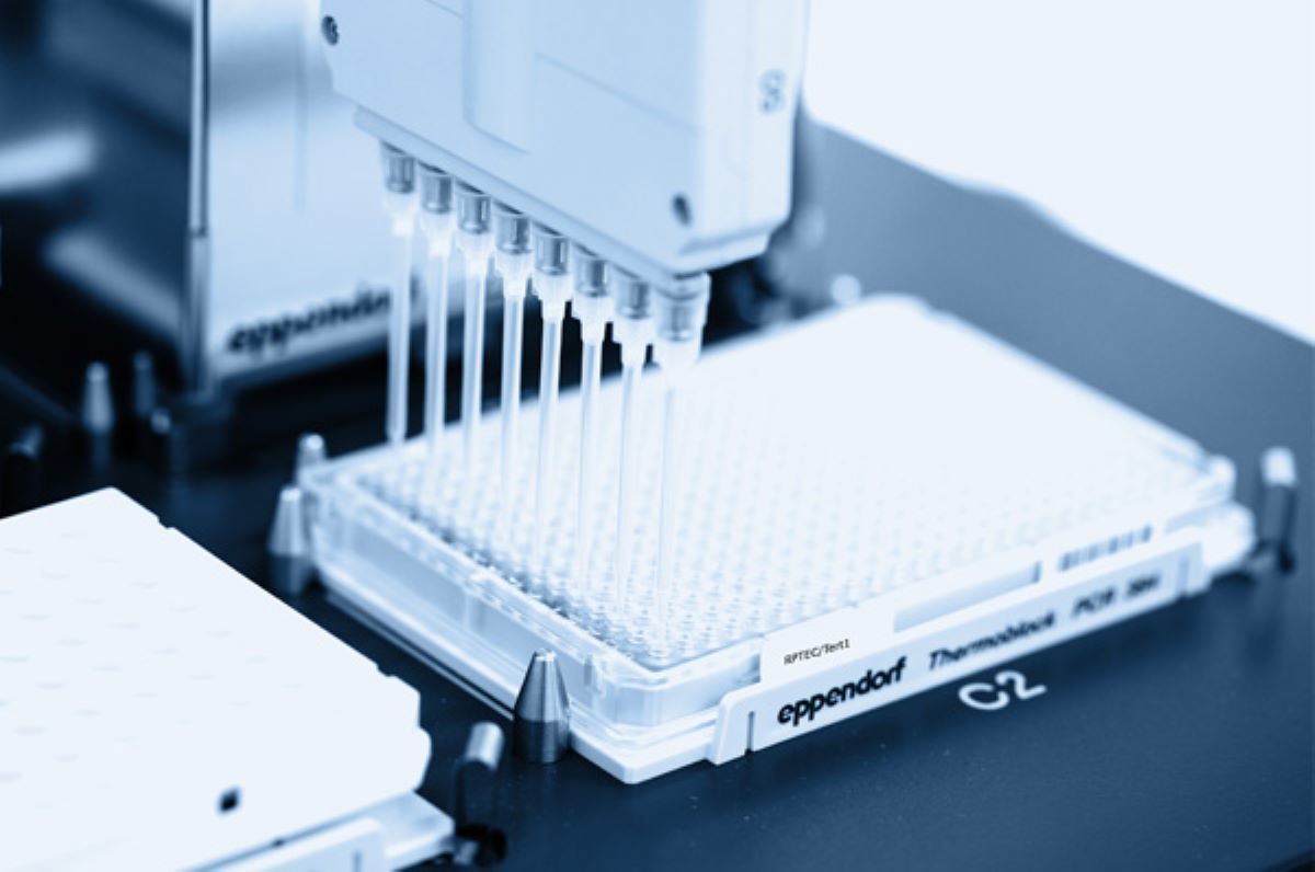 48269Evercyte cell-based assays and in-vitro drug testing services
