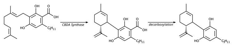 Cannabidiolic acid (CBDA)