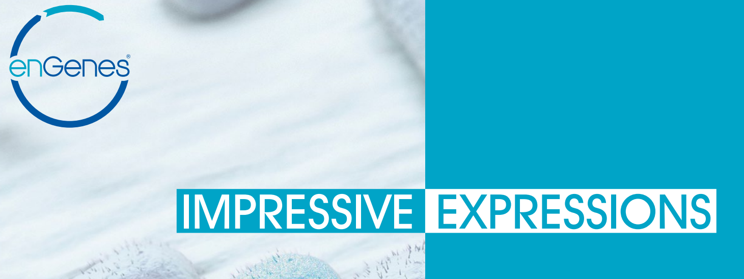 Growth-Decoupled Protein Production – enGenes-X-press™