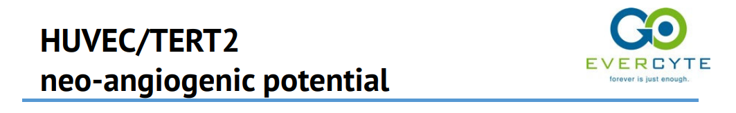Neo angiogenic potential – HUVEC/TERT2