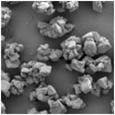 MEGGLE lactose advantages in pharma applications