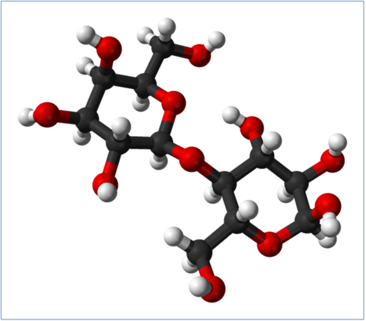 MEGGLE lactose advantages in pharma applications