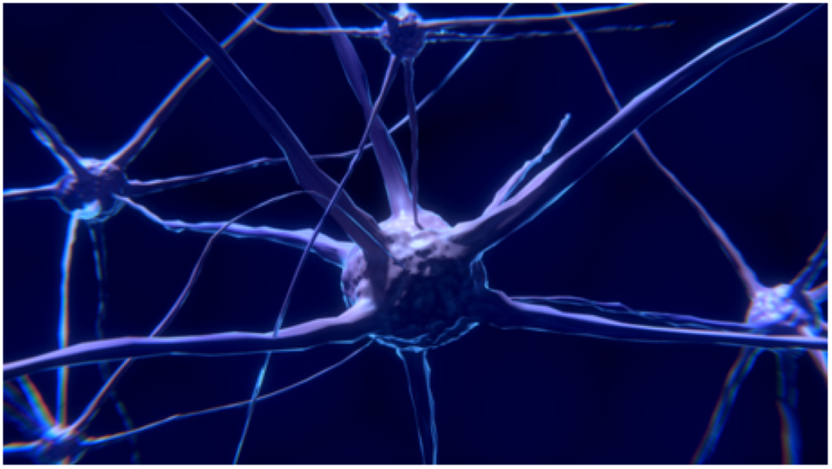 Bachem offering CART peptides for drug addiction studies