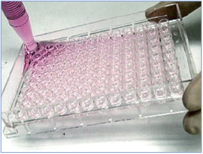 PHCbi PrimeSurface® Cell Culture labware