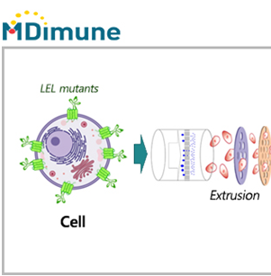 MDimune and Evercyte form partnership for developing tumor-targeting EVs